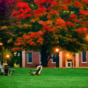 Trees burst into fall color on the Quad.