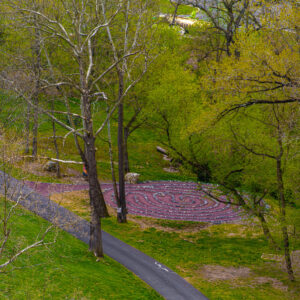 Karl Stirner Arts Trail