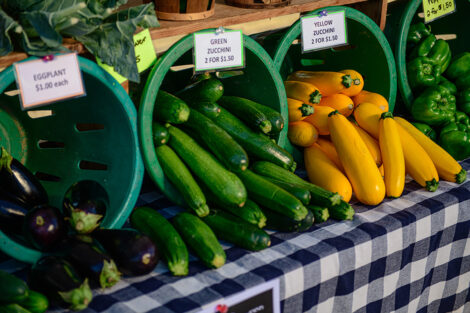 Eggplant and squash for sale