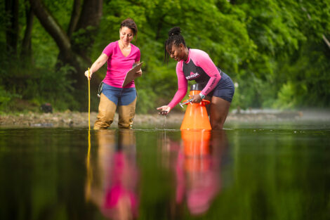 A professor and a student conduct research in Bushkill Creek.